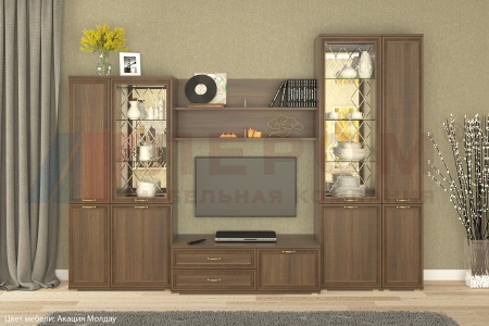 Гостиная-Стенка Карина-24 (В-2224 х Ш-3060 х Г-448 мм)